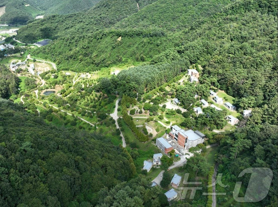 본문 이미지 - 동보원 자연휴양림(청주시 제공).2024.9.1/뉴스1