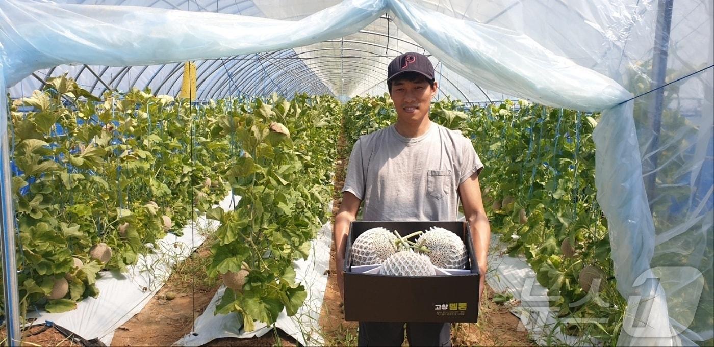 본문 이미지 - 고창군 청년창업농 백규남씨가 재배한 멜론(고창군 제공)2024.8.30/뉴스1