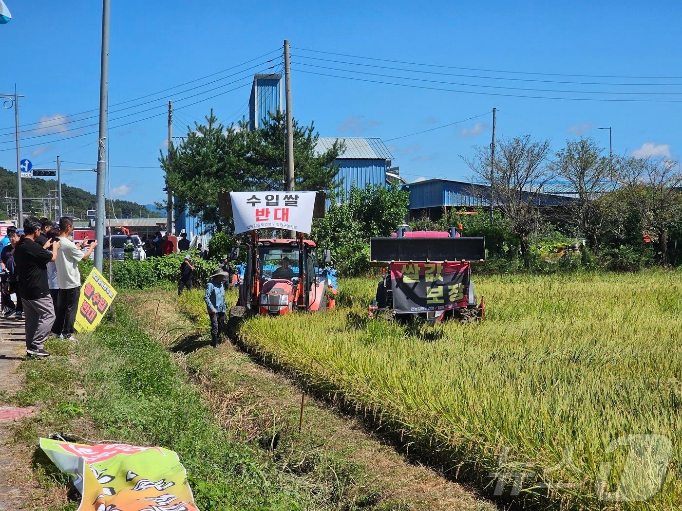 본문 이미지 - 전국농민회총연맹(이하 전농) 강원도연맹이 30일 철원 동송읍 오덕리의 한 농가의 논을 갈아엎으며 쌀값 보장을 촉구했다.(전농 강원도연맹 제공)