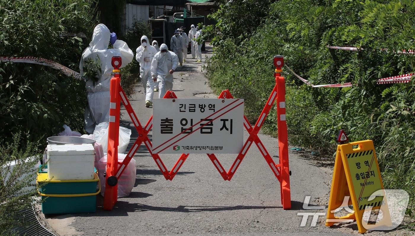 31일 경기도 김포시 한 양돈농가에 아프리카돼지열병&#40;ASF&#41;이 발병해 방역 관계자들이 차량을 통제하고 방역작업을 하고 있다. 2024.8.31/뉴스1 ⓒ News1 