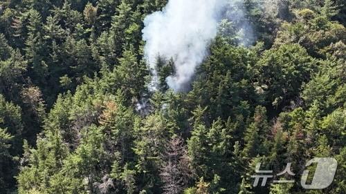 본문 이미지 - 진주 명석면 산불(산림청 제공)