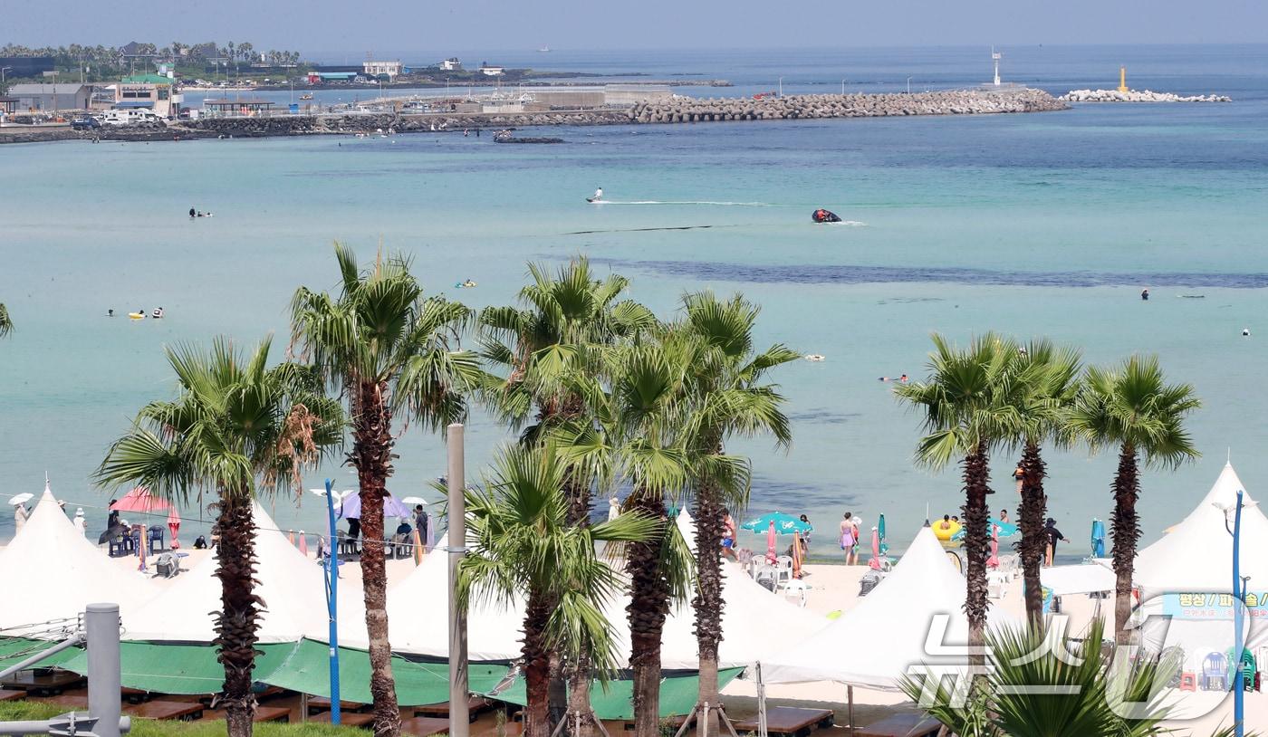 제주시 조천읍 함덕해수욕장에서 피서객들이 물놀이를 하고 있다. 2024.8.4/뉴스1 ⓒ News1 오현지 기자