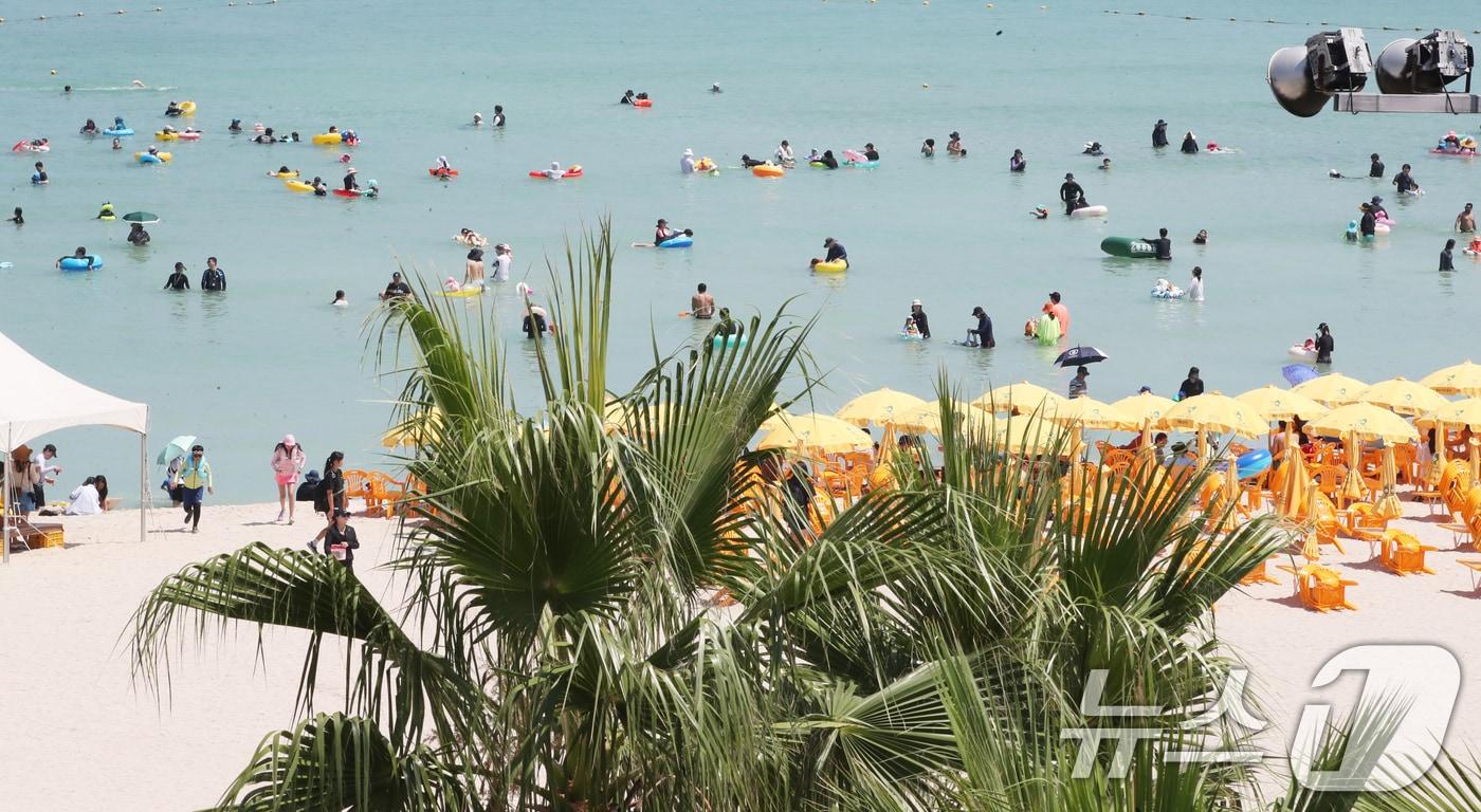 제주 해수욕장/뉴스1