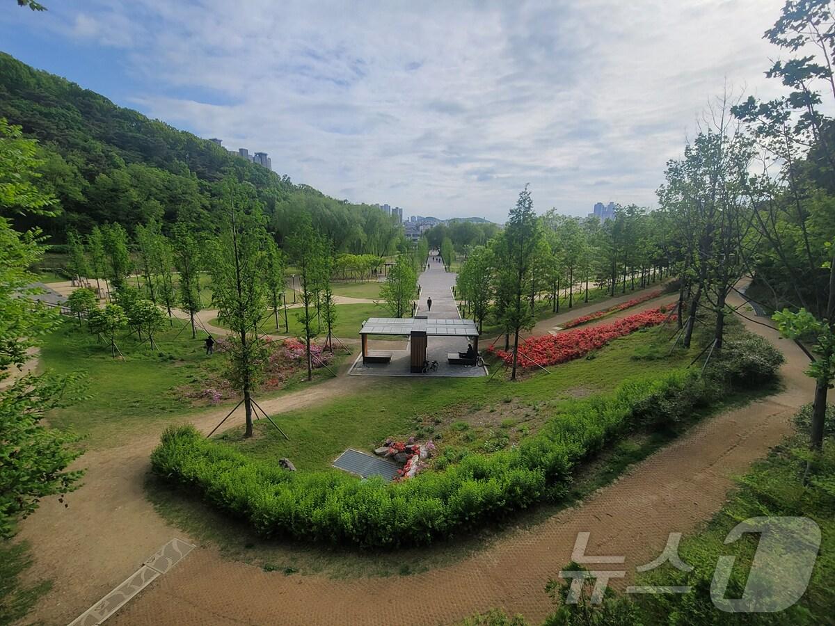 본문 이미지 - 대구 두류공원 도시숲과 달성공원 도시숲이 산림청에서 선정한 '아름다운 도시숲 50선'에 이름을 올렸다. 사진은 두류공원 도시숲. (대구시 제공)/뉴스1