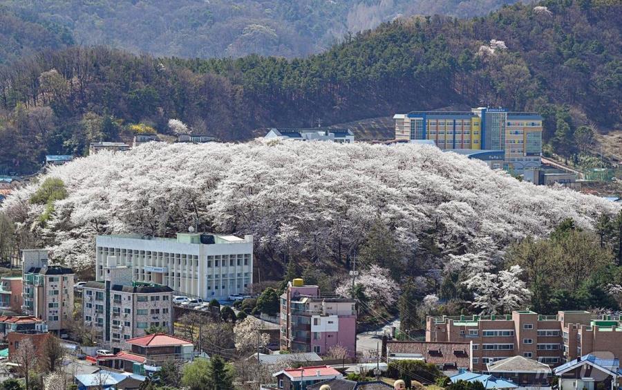 본문 이미지 - 대전테미예술창작센터 전경.(대전시 제공) ⓒ 뉴스1 