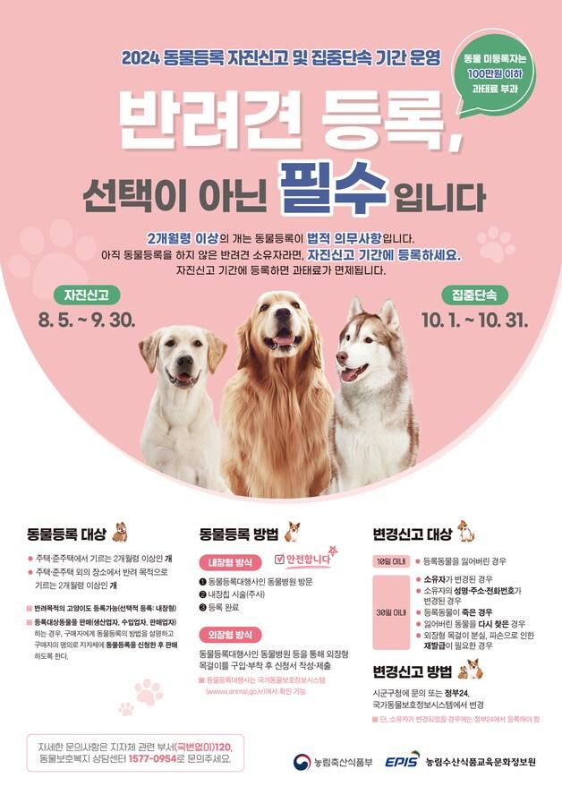 본문 이미지 - 반려동물 등록 자진신고 기간 운영 ⓒ News1