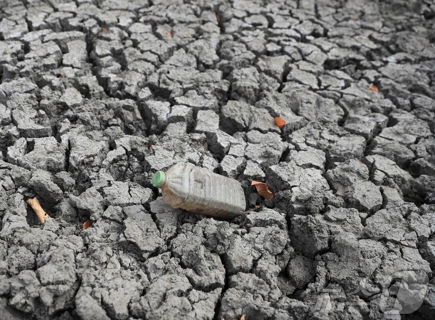 본문 이미지 - 짐바브웨 무지에서 가뭄이 지속되고 있는 가운데 댐 바닥에 금이 간 모습. 2024.07.02. ⓒ 로이터=뉴스1 ⓒ News1 정윤영 기자