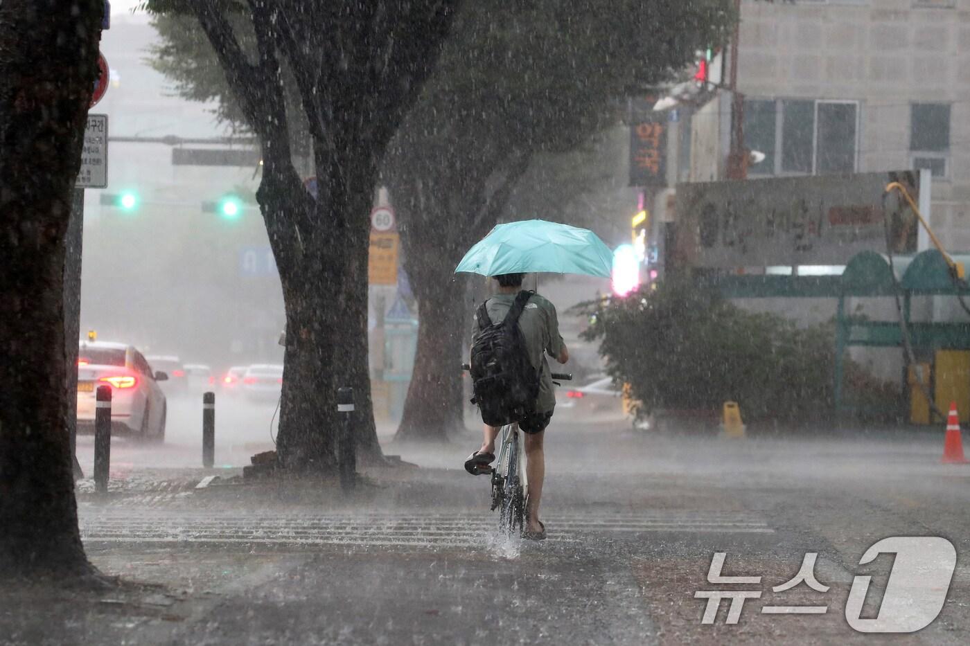 5일 오후 대구 수성구 신매시장 일대에 갑작스러운 폭우가 쏟아지고 있다. 2024.8.5/뉴스1 ⓒ News1 공정식 기자
