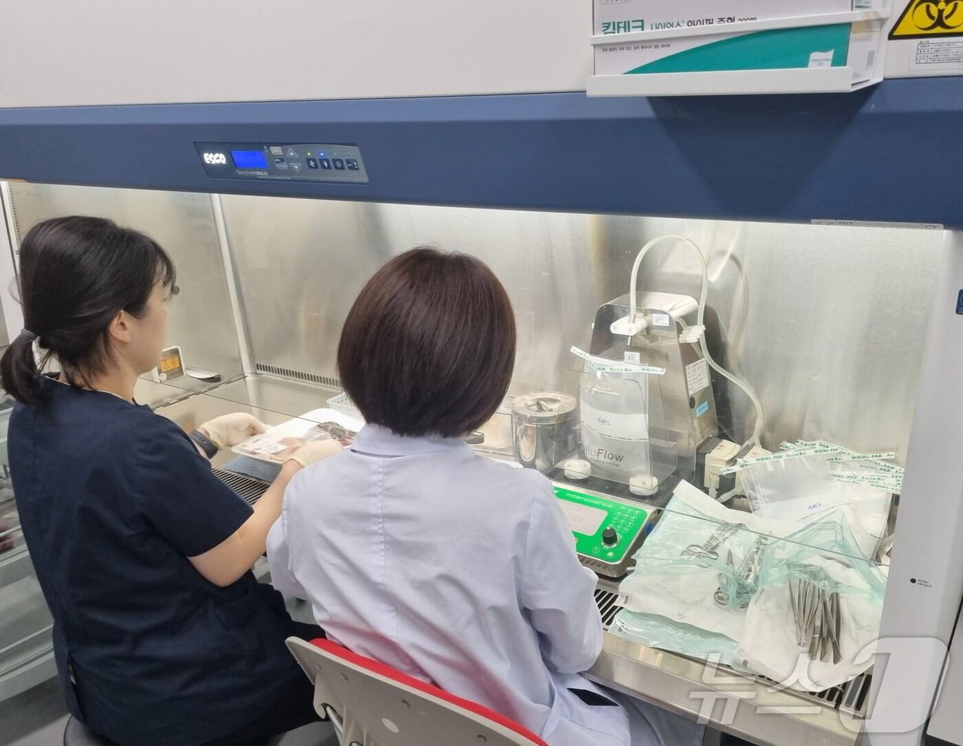 본문 이미지 - 수산물 비브리오균 검사.&#40;뉴스1/DB&#41;