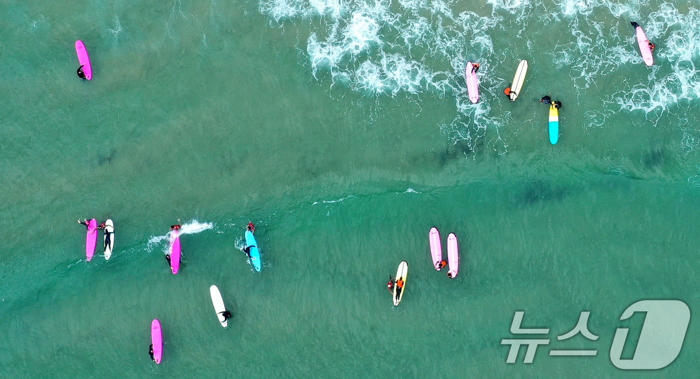 본문 이미지 - 강원 양양군 현남면 인구 해수욕장을 찾은 피서객들이 서핑을 즐기고 있다. (자료사진)/뉴스1 DB