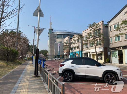 본문 이미지 - 화성시 동탄 센트럴파크에 설치된 노상 공영주차장  