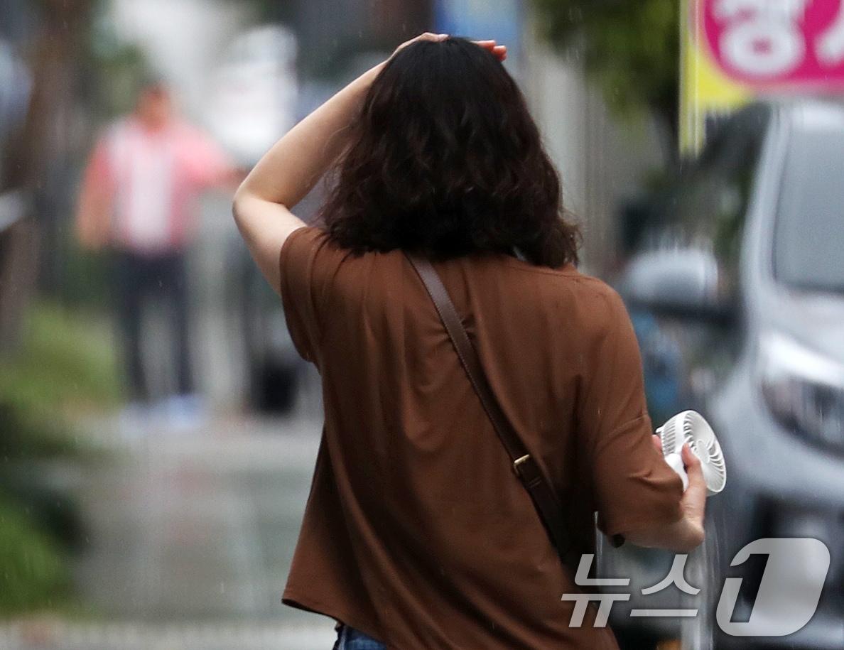 본문 이미지 - 무더위 속 내리는 비. ⓒ News1