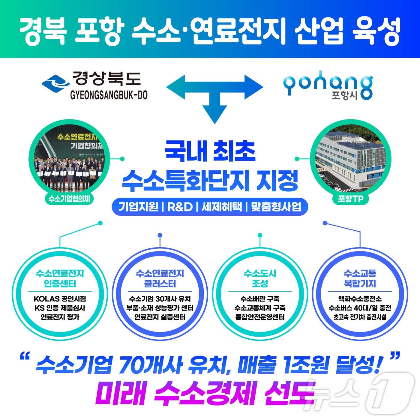 본문 이미지 - 경북 포항시가 수소특화단지 조성에 도전한다고 7일 밝혔다. (포항시제공) 2024.8.7/뉴스1 