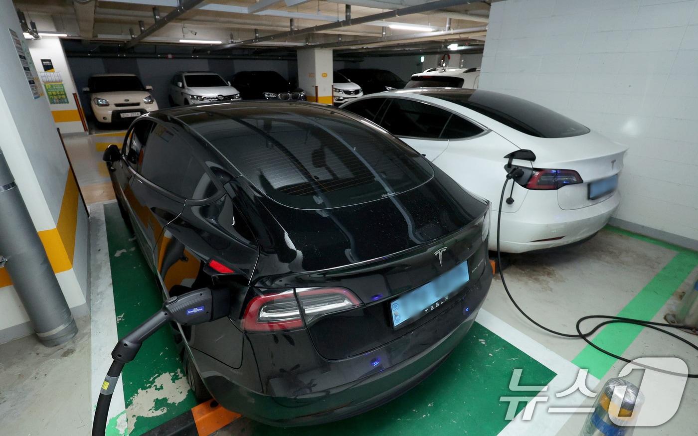 뉴스1 ⓒ News1 장수영 기자