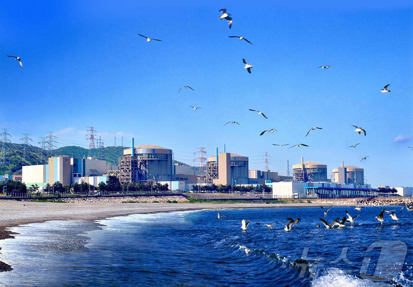 월성원전 1호기와 3호기의 예비 디젤발전기가 가동돼 원자력안전위원회가 원인 파악에 나섰다. 왼쪽이 월성4호기, 맨 오른쪽이 1호기다.(뉴스1 자료) 2024.8.7/뉴스1 