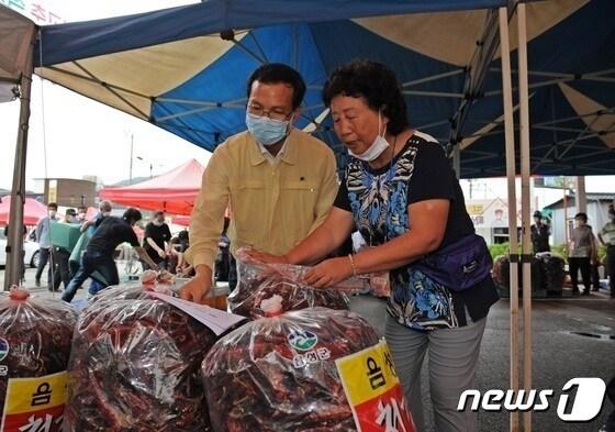 본문 이미지 -  7일 충북 음성군은 음성청결고추 직거래장터가 오는 12일 개장한다고 밝혔다.(자료사진)2024.8.7/뉴스1