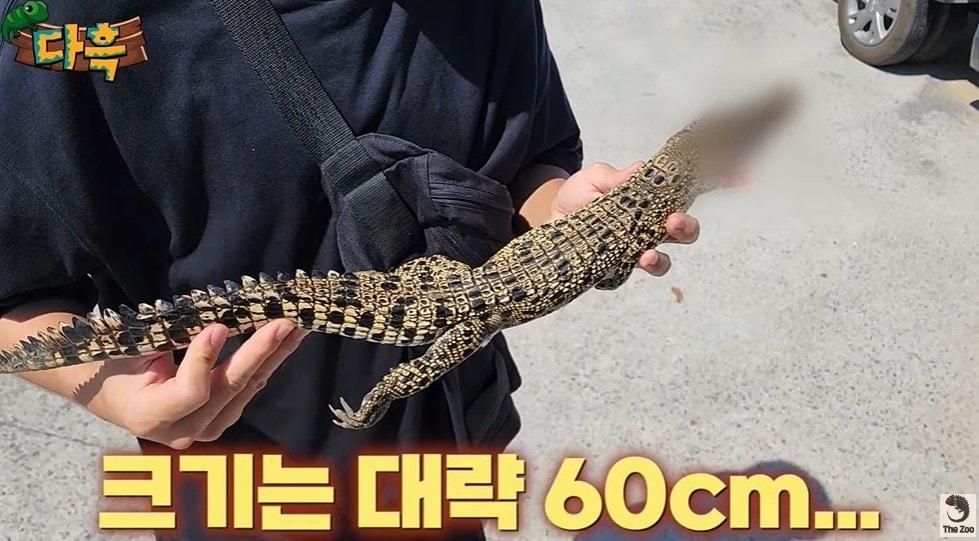 본문 이미지 - (유튜브 '다흑')
