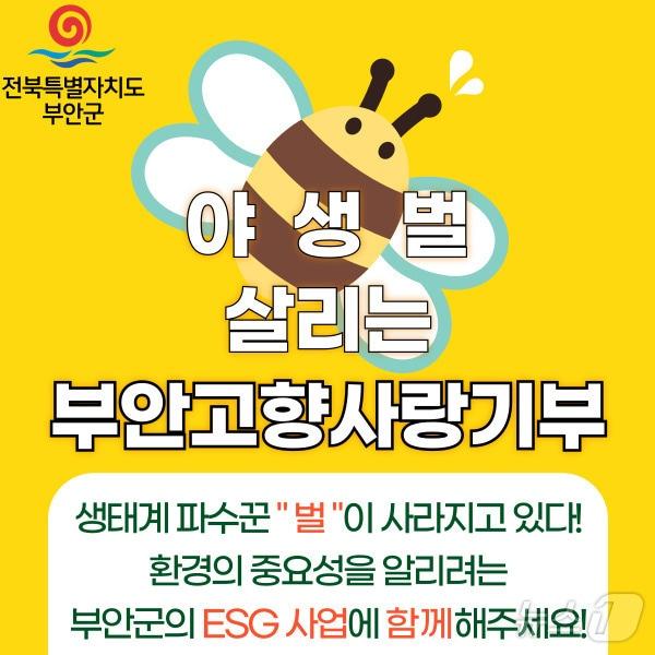 본문 이미지 - 부안군 ‘야생벌 붕붕이를 지켜주세요’ 지정기부 포스터(부안군 제공)2024.8.7/뉴스1