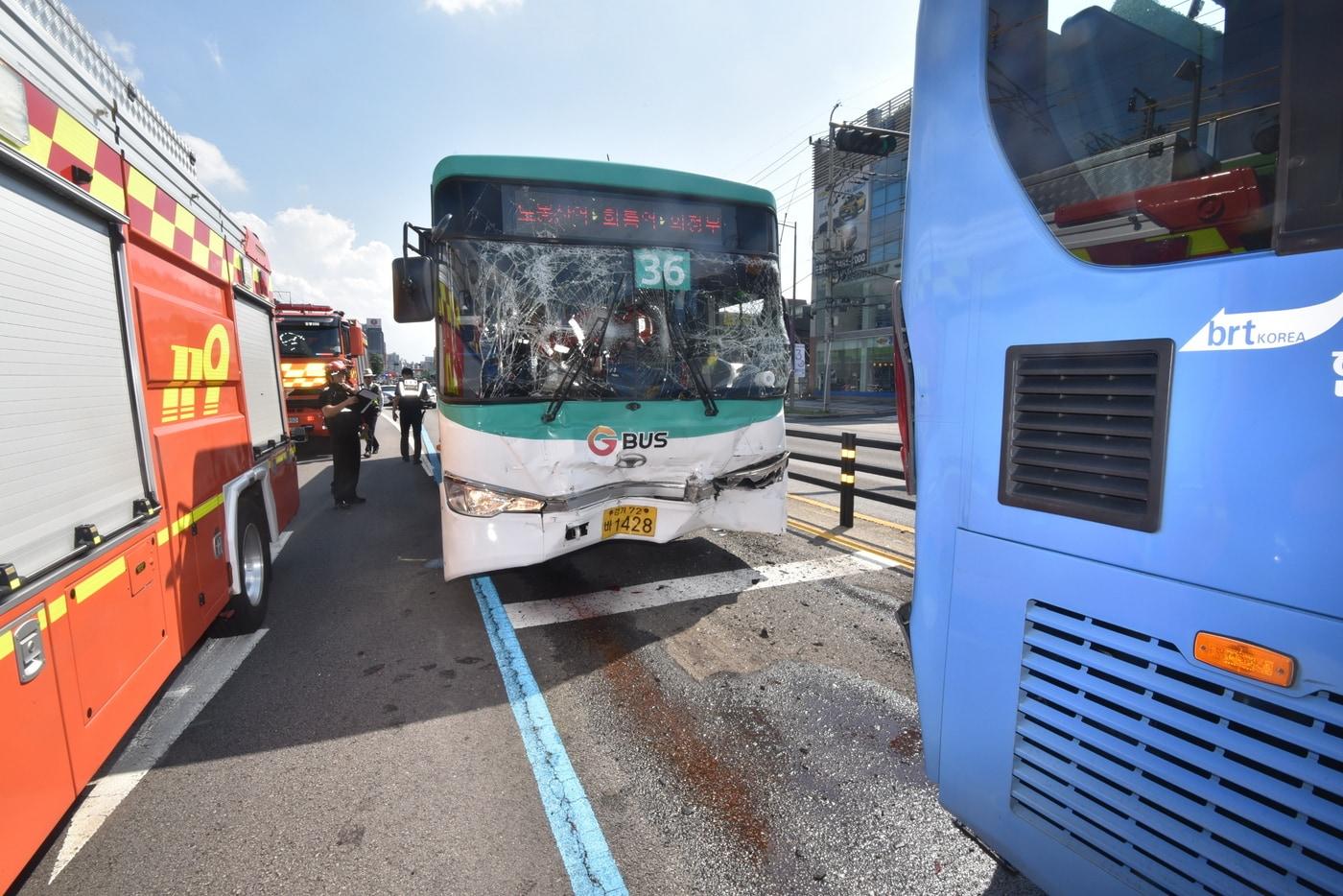 본문 이미지 - (도봉소방서 제공)