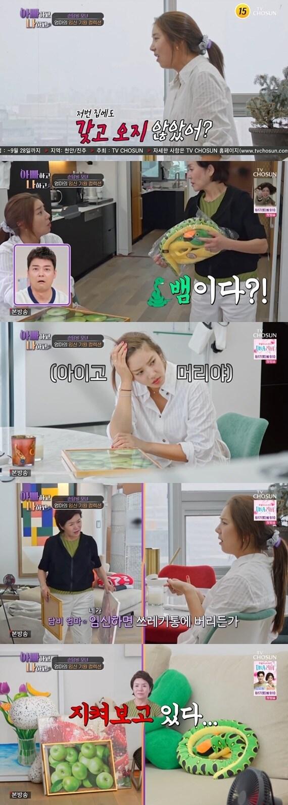 본문 이미지 - TV조선 '아빠하고 나하고'