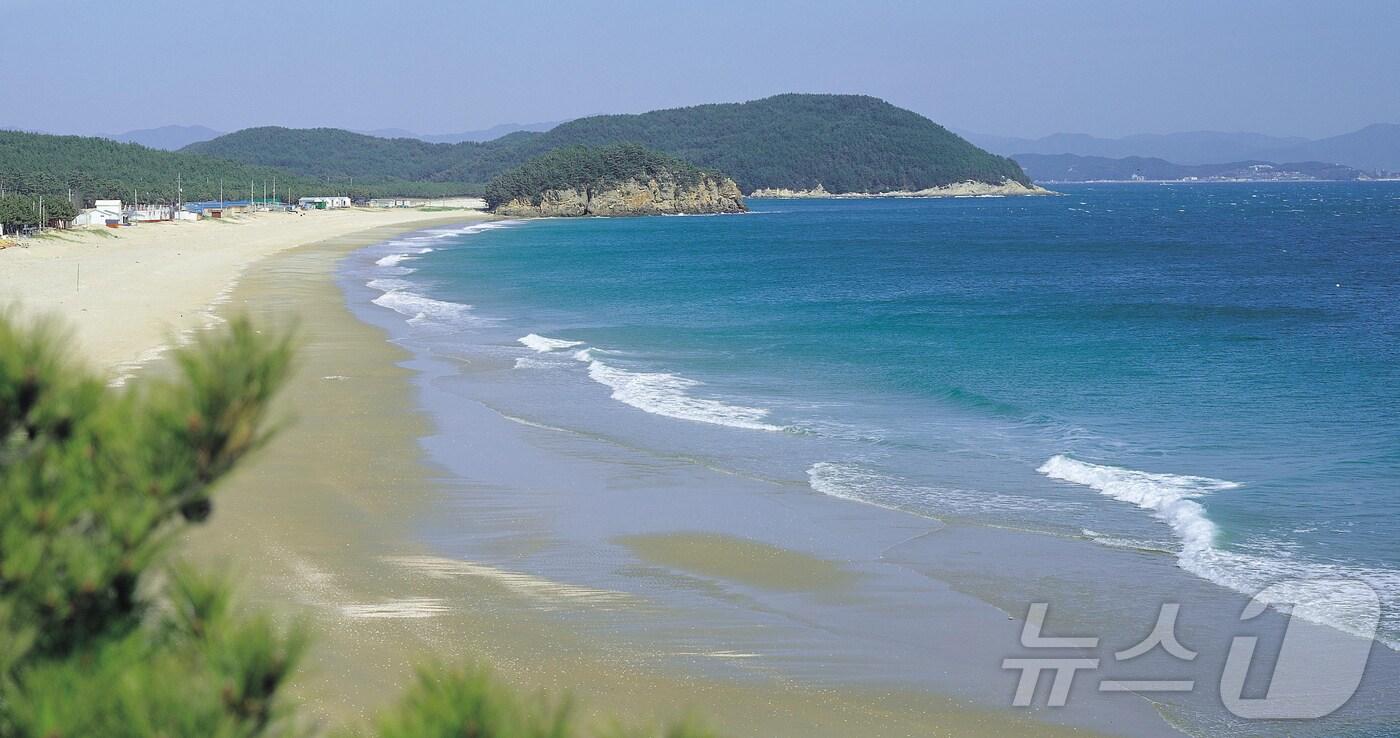 원산도 해수욕장. /뉴스1