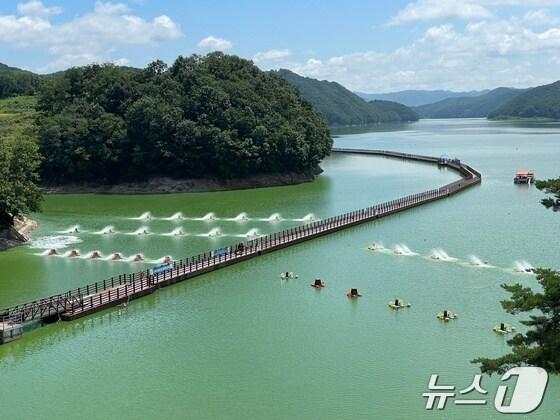 본문 이미지 - 한국수자원공사가 6일 안동댐 유역의 녹조에 대응해 수면 포기기, 녹조 제거선 등 녹조 대응설비를 가동하고 있다. (한국수자원공사 제공)/뉴스1