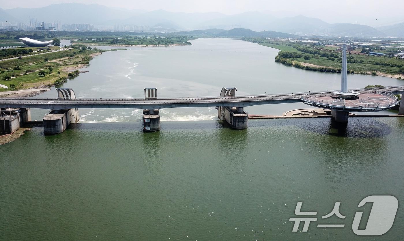 지난해 8월  녹조가 발생한 낙동강 강정고령 지점. &#40;사진은 기사 내용과 무관함&#41; 2024.8.9/뉴스1 ⓒ News1 자료 사진
