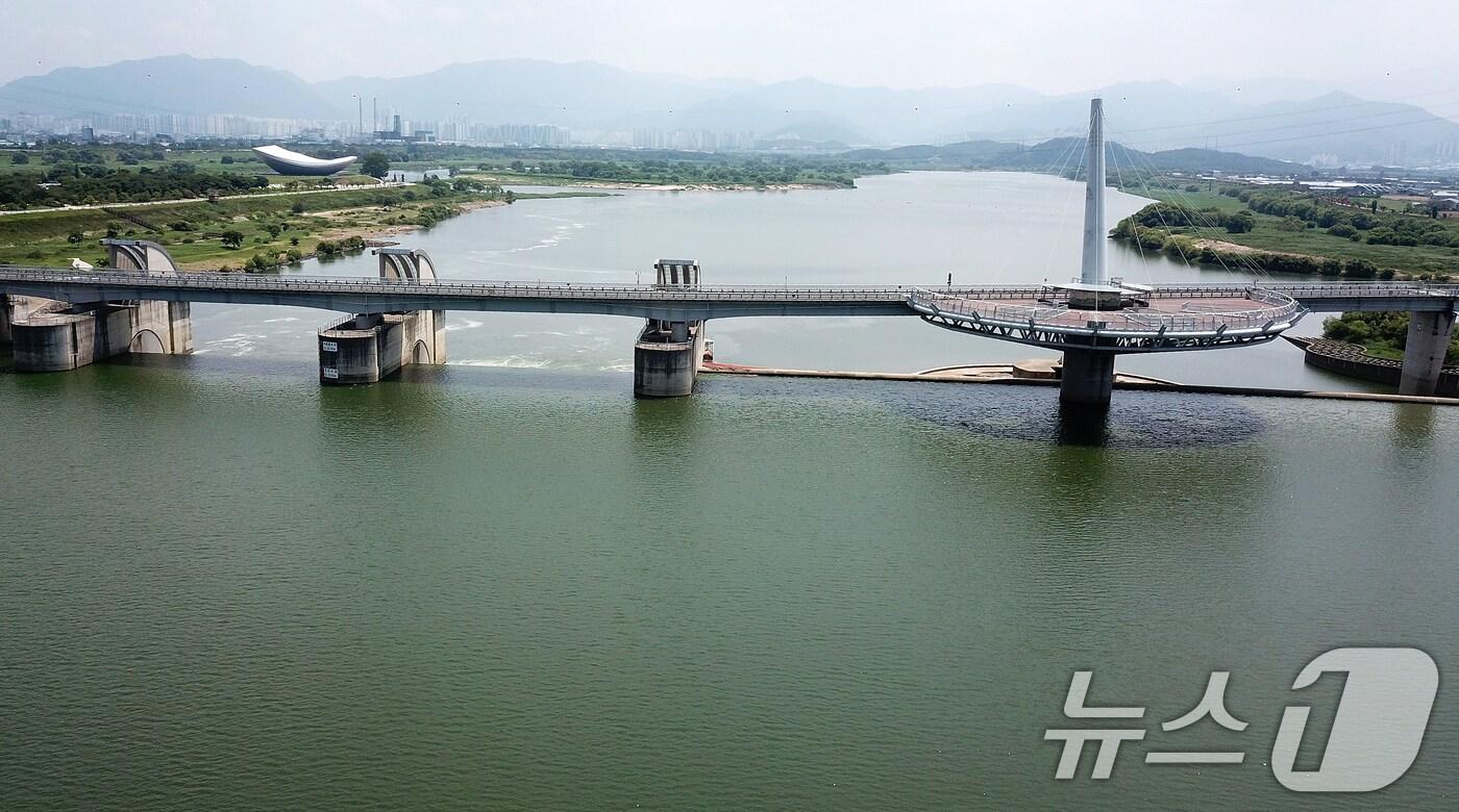대구 달성군 다사읍과 경북 고령군 다산면을 잇는 낙동강 강정고령보 일대 강물이 녹조로 인해 초록빛을 띠고 있다.  &#40;사진은 기사 내용과 무관함&#41; 2024.8.9/뉴스1 ⓒ News1 자료 사진