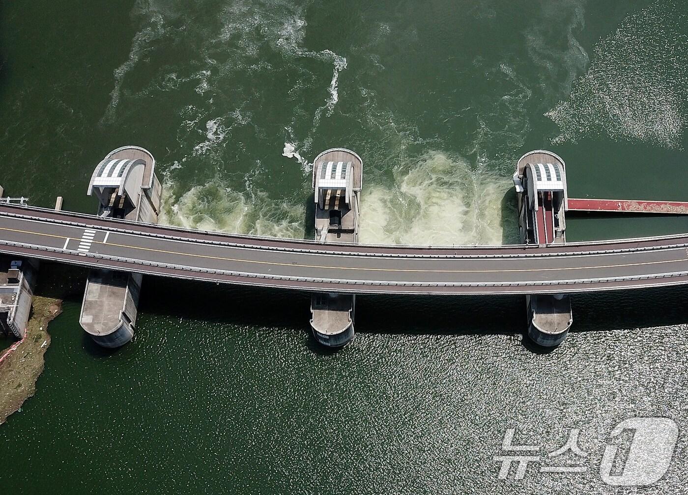 본문 이미지 - 지난해 8월9일 대구 달성군 다사읍과 경북 고령군 다산면을 잇는 낙동강 강정고령보 일대 강물이 녹조로 인해 초록빛을 띠고 있다. 대구환경청은 강정고령 지점에 조류경보 &#39;관심&#39; 단계를 발령했다. 2024.8.9/뉴스1 ⓒ News1 공정식 기자