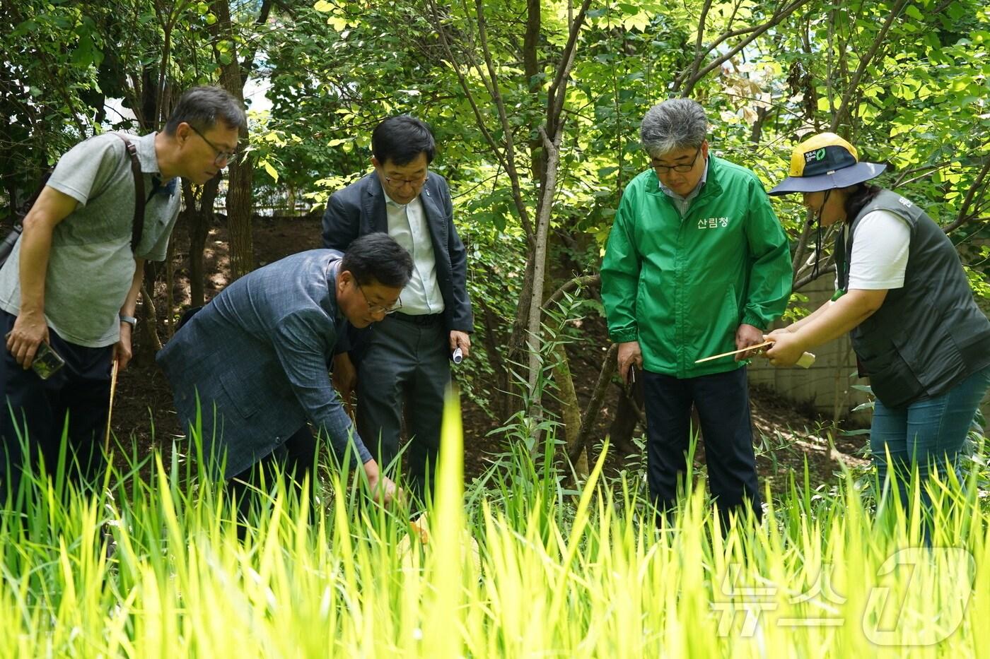 본문 이미지 - 임상섭 산림청장(오른쪽 두번째)이 원흥이생태공원을 찾아 관계자의 설명을 들으며 둘러보고 있다.(산림청 제공)/뉴스1