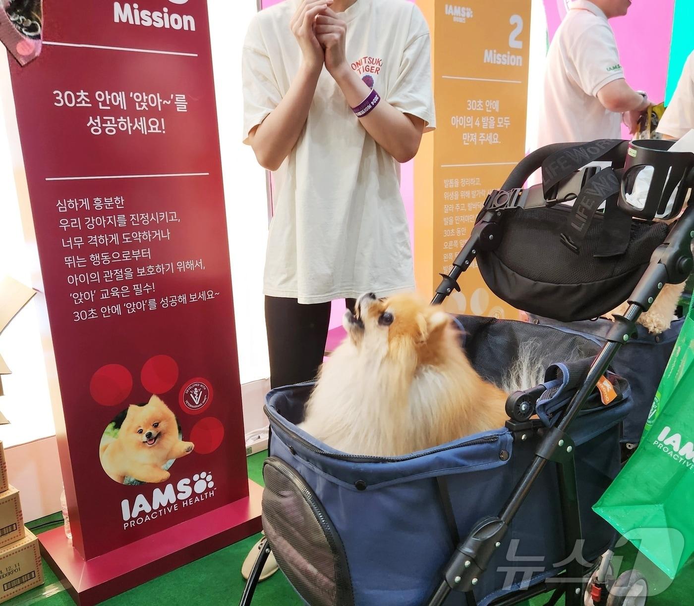 본문 이미지 - 9일 경기 수원시 수원메쎄에서 열린 2024 케이펫페어 수원에서 펫푸드 브랜드 '아이엠즈가 '미션 파서블 이벤트'를 진행하고 있다. ⓒ 뉴스1 한송아 기자