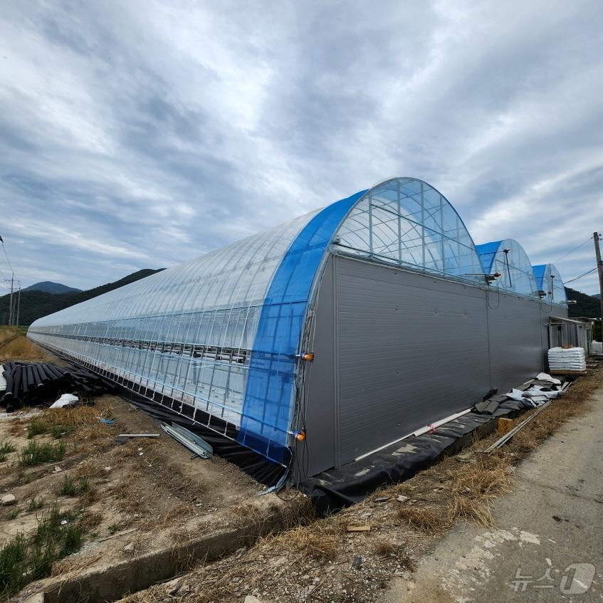 본문 이미지 - 비닐하우스 설치 지원사업 (자료사진) ⓒ News1 