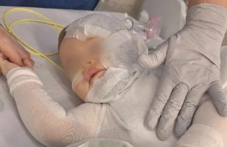 본문 이미지 - &#40;abc 뉴스 갈무리&#41;