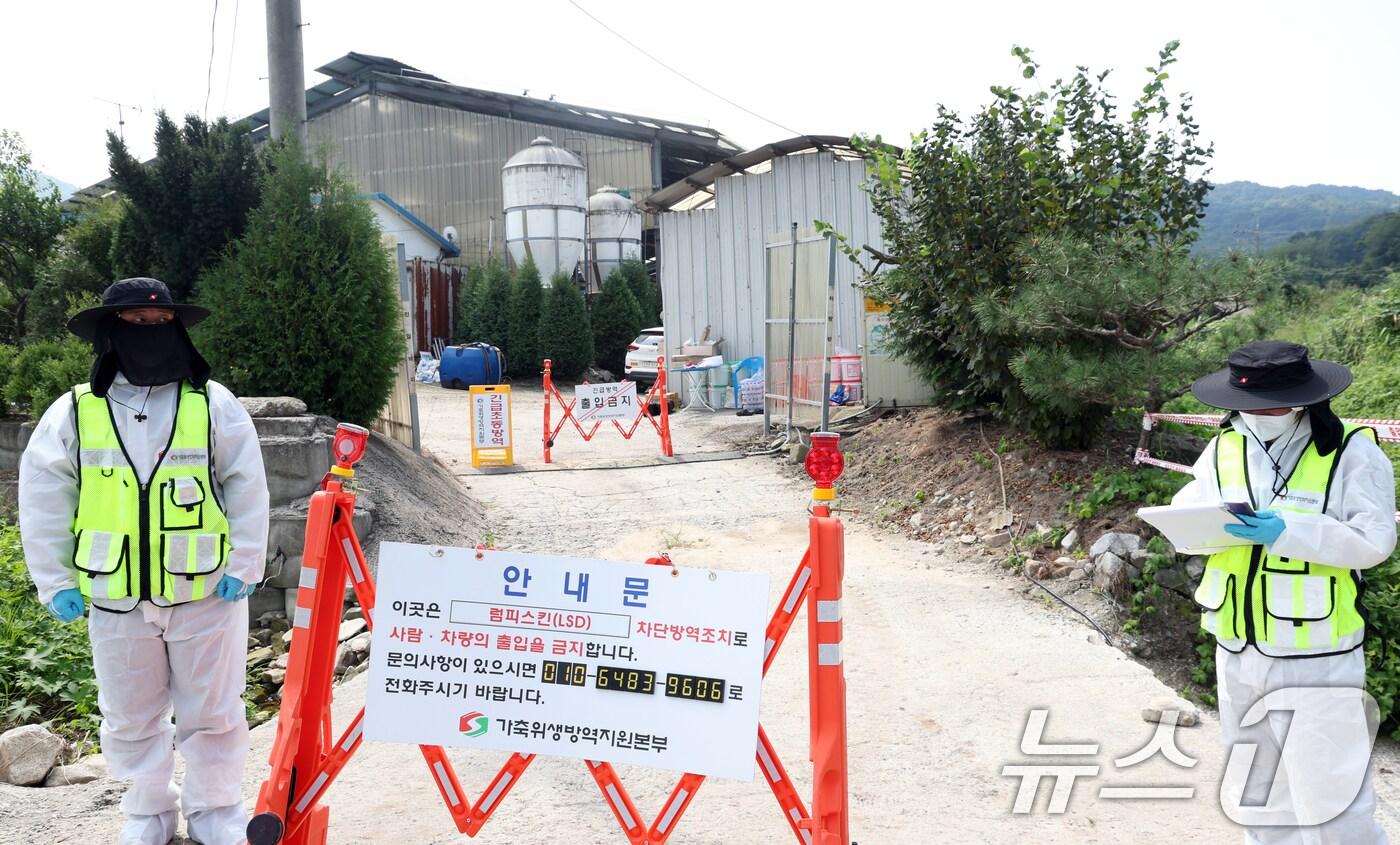 경기도 이천시 한 젖소농장(60여마리 사육)에서 럼피스킨 양성이 확인돼 가축위생방역지원본부 관계자들이 출입을 통제시키고 있다.  ⓒ News1 김명섭 기자