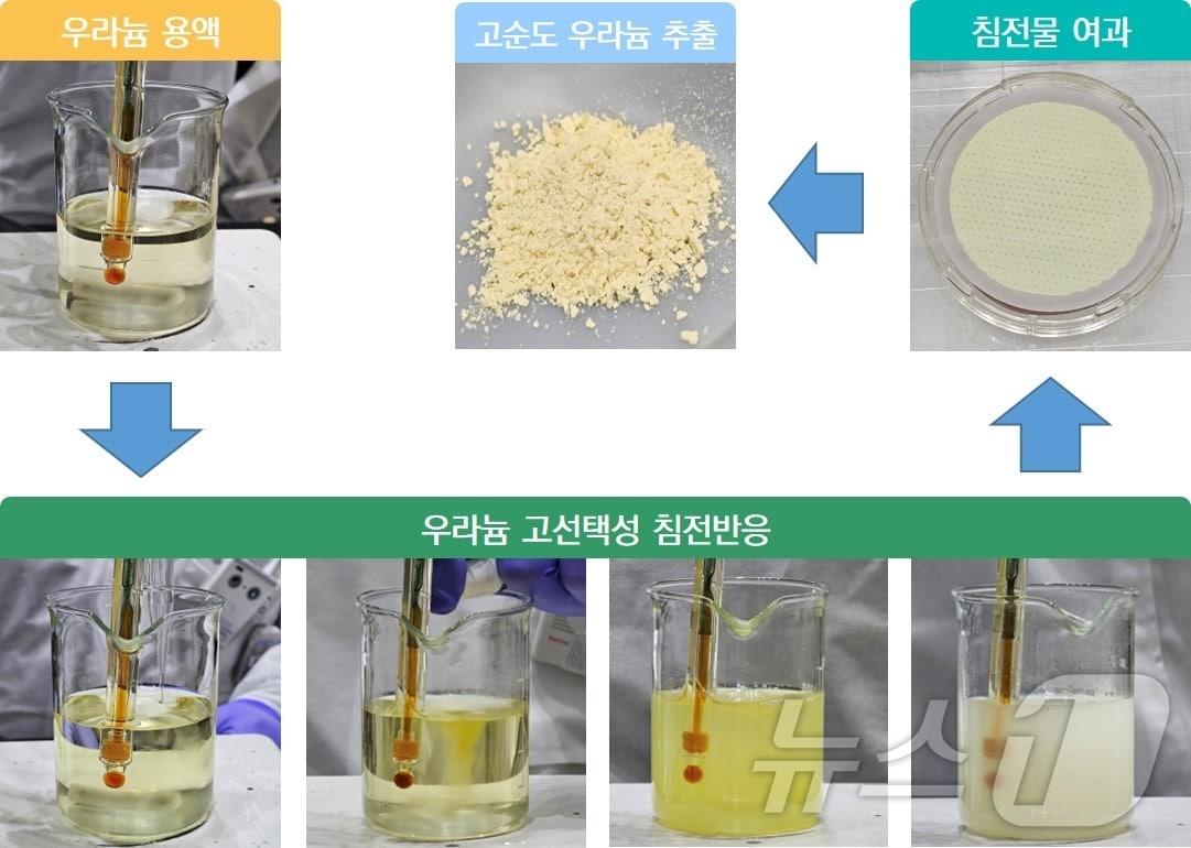 본문 이미지 - 우라늄 용액에서 침전반응을 통해 고순도 우라늄을 추출하는 과정.(한국원자력연구원 제공)/뉴스1