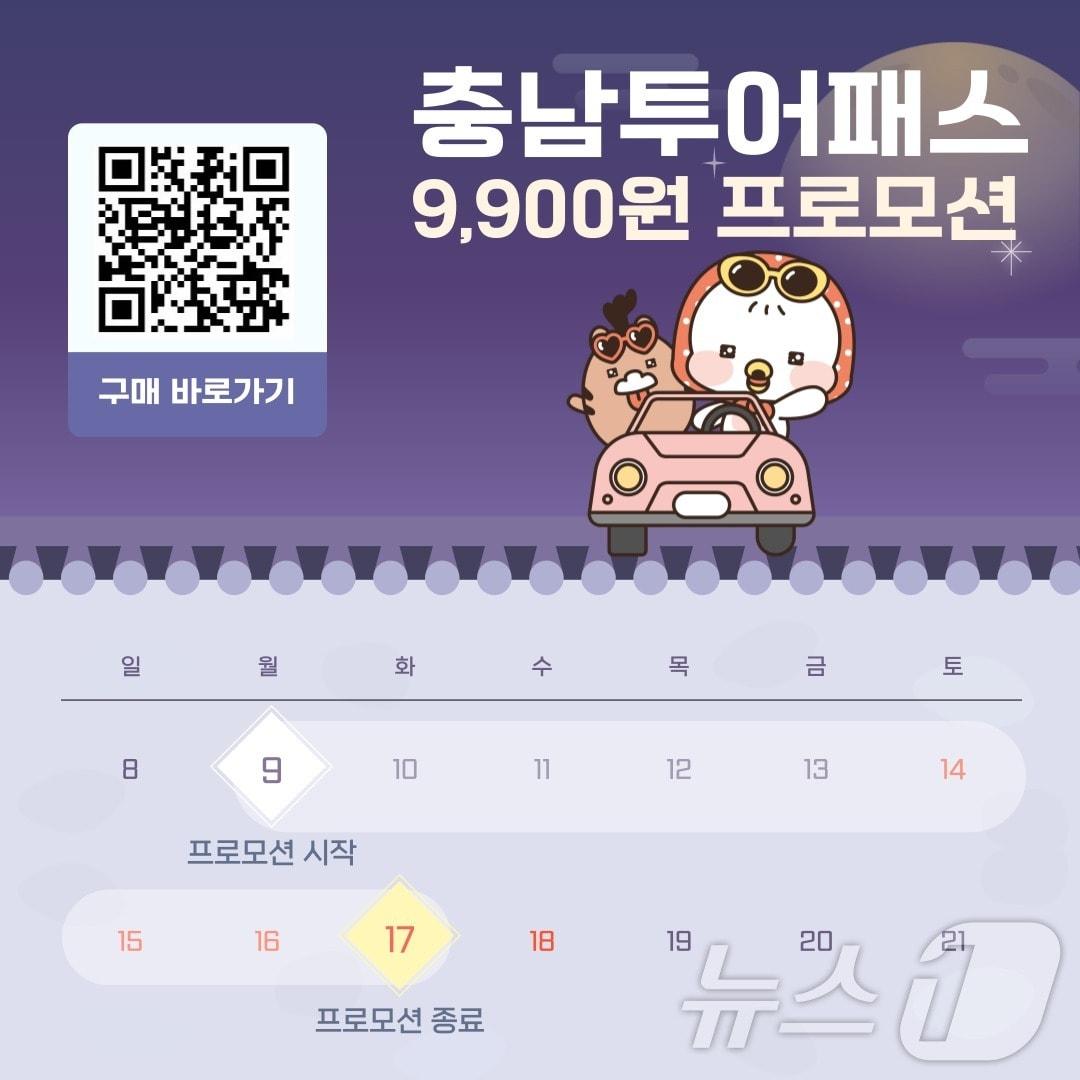 본문 이미지 - 충남투어패스 안내포스터. /뉴스1