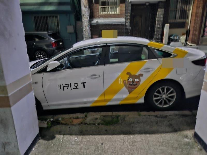 본문 이미지 - (보배드림 갈무리)