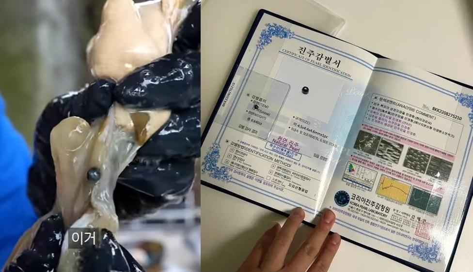 본문 이미지 - (유튜브 채널 '수빙수' 갈무리)