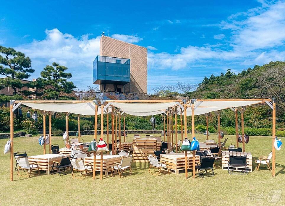 본문 이미지 - 만만한녀석들 제주지사가 연출한 이니스프리 나무 임보 프로젝트 현장.(만만한녀석들 제주지사 제공)