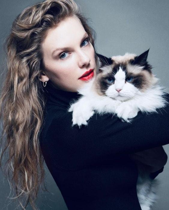 본문 이미지 - 미국의 유명 팝 가수 테일러 스위프 (34·여)가 10일(현지시간) 자신의 인스타그램을 통해 오는 11월 미국 대선에서 민주당 대선후보인 카멀라 해리스 부통령에게 투표하겠다고 밝혔다(인스타그램 'taylorswift' 갈무리). 2024.09.10.