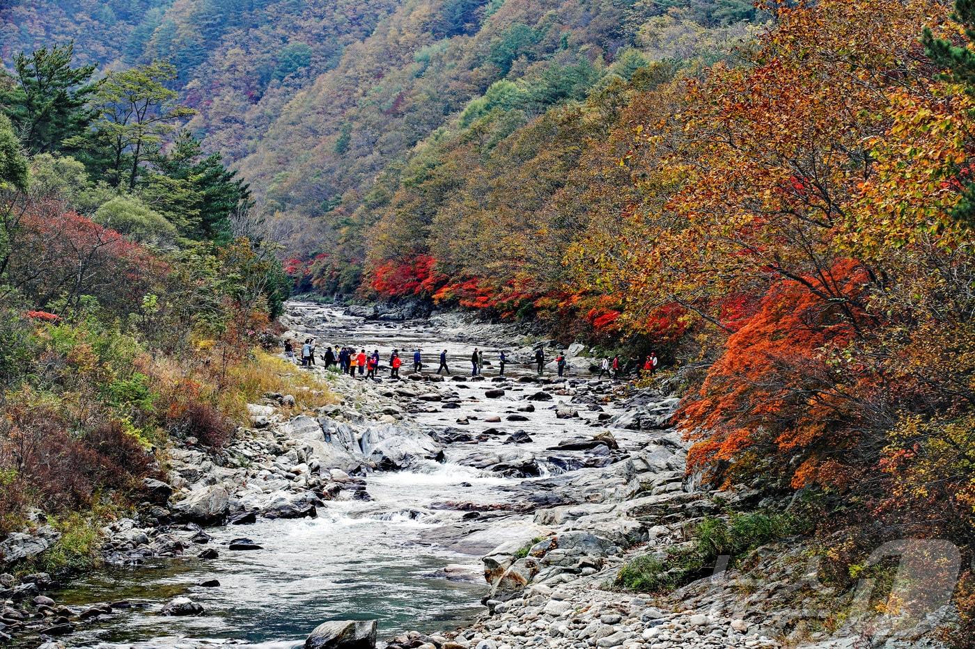 본문 이미지 - 국토정중앙 청춘양구 관광사진 공모전 입선작인 김재경씨의 '두타연의 만추'.(양구군 제공)/뉴스1