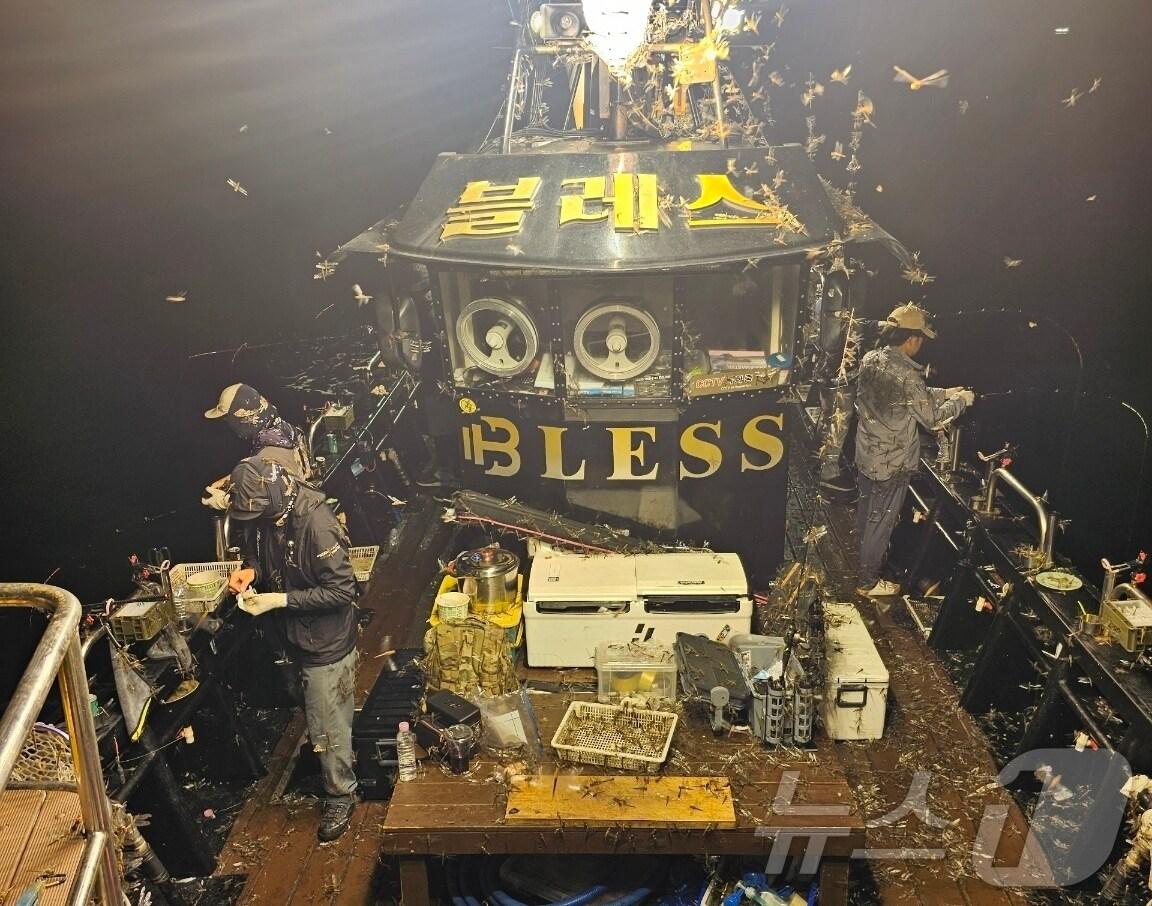 본문 이미지 - 8일 새벽 제주시 김녕 앞바다에서 된장잠자리로 추정되는 잠자리 떼가 나타났다.(블레스호 제공)2024.9.11/뉴스1