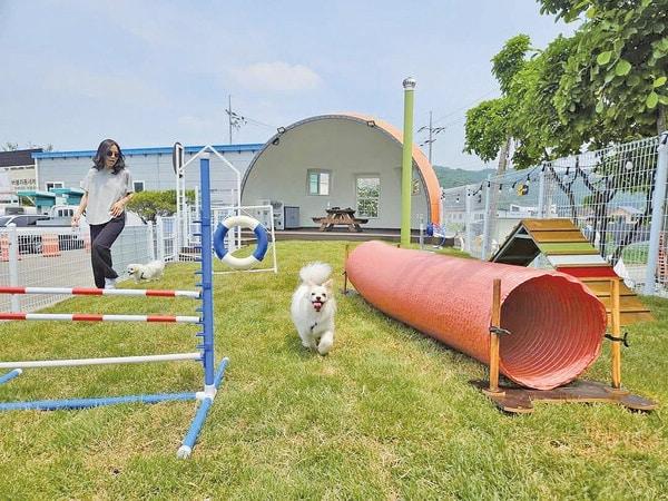 본문 이미지 - 서울방향 천안삼거리휴게소 반려견놀이터 (한국도로공사 제공) ⓒ 뉴스1