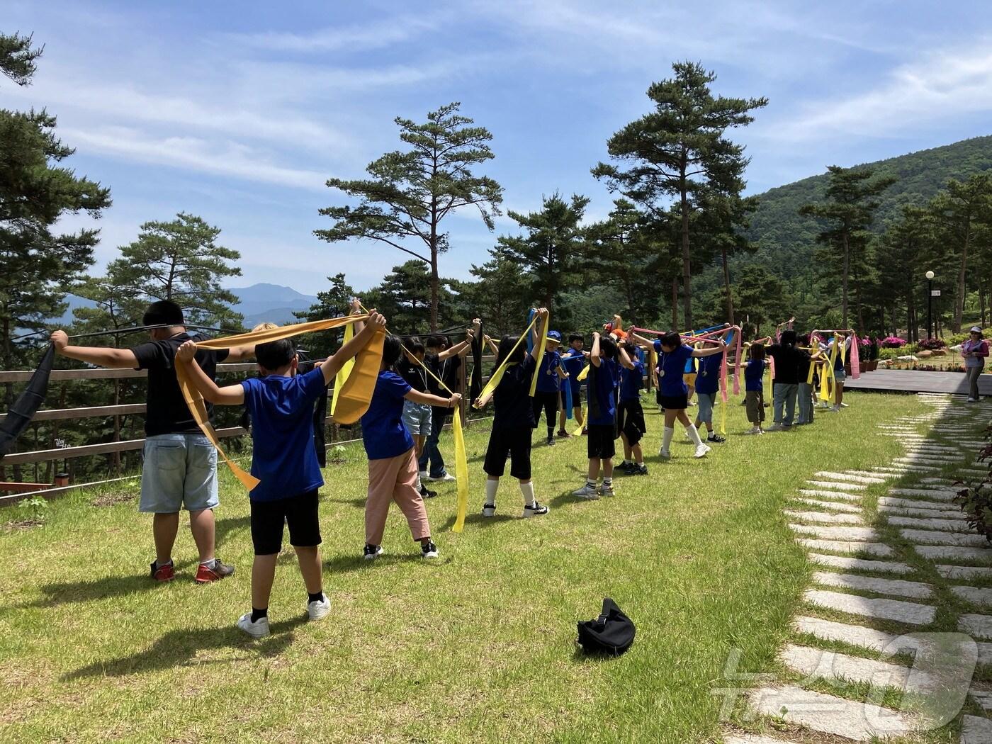 본문 이미지 - 산청 치유의 숲 프로그램(산청군 제공).