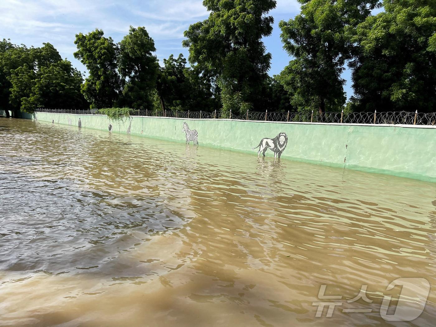 본문 이미지 - 나이지리아 북동부 보르노주(州)의 주도 마이두구리 근교에 위치한 '산다 캬리미' 주립 동물원이 최근 발생한 댐 붕괴 사고로 인해 10일(현지시간) 침수된 모습. 2024.09.10. ⓒ 로이터=뉴스1 ⓒ News1 김성식 기자