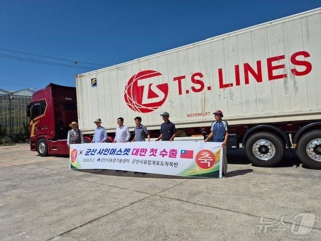 본문 이미지 - 전북 군산지역에서 생산된 샤인머스캣이 첫 대만 수출길에 올랐다.(군산시 제공) 2024.9.12/뉴스1