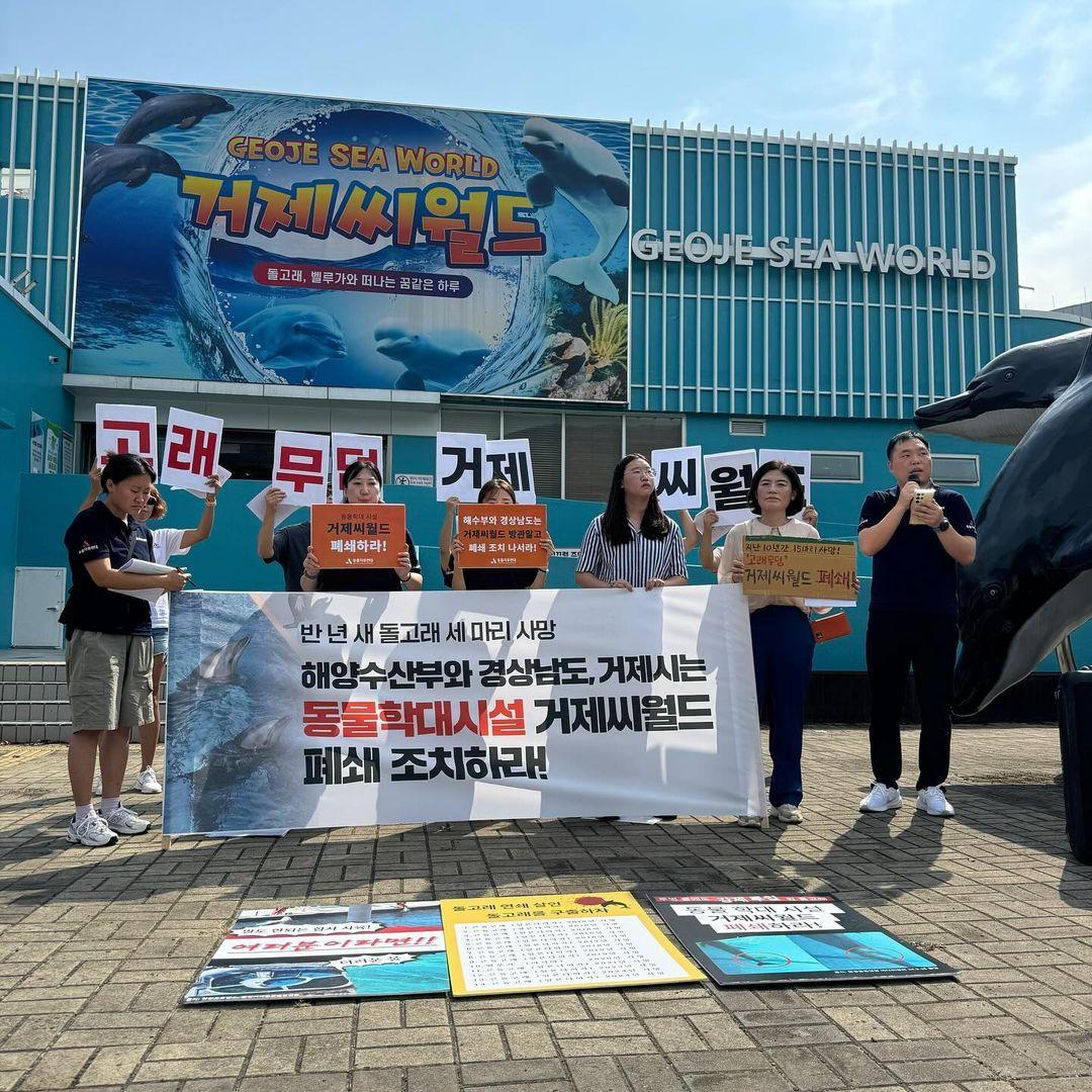 본문 이미지 - 최근 거제씨월드에서 새끼돌고래가 태어난지 열흘 만에 폐사한 것과 관련해 동물 및 환경단체가 12일 거제씨월드 앞에서 공동 기자회견을 개최했다.(동물자유연대 제공) ⓒ 뉴스1