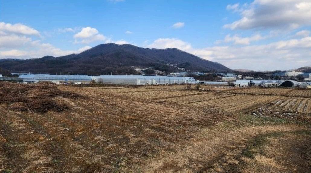 본문 이미지 - 경매로 나온 용인시 처인구 원삼면 토지(지지옥션 제공).