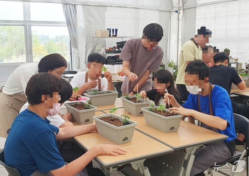 본문 이미지 - 광주시농업기술센터 '마음을 가꾸는 농부' 치유 농업 프로그램.(광주시 제공)/뉴스1 