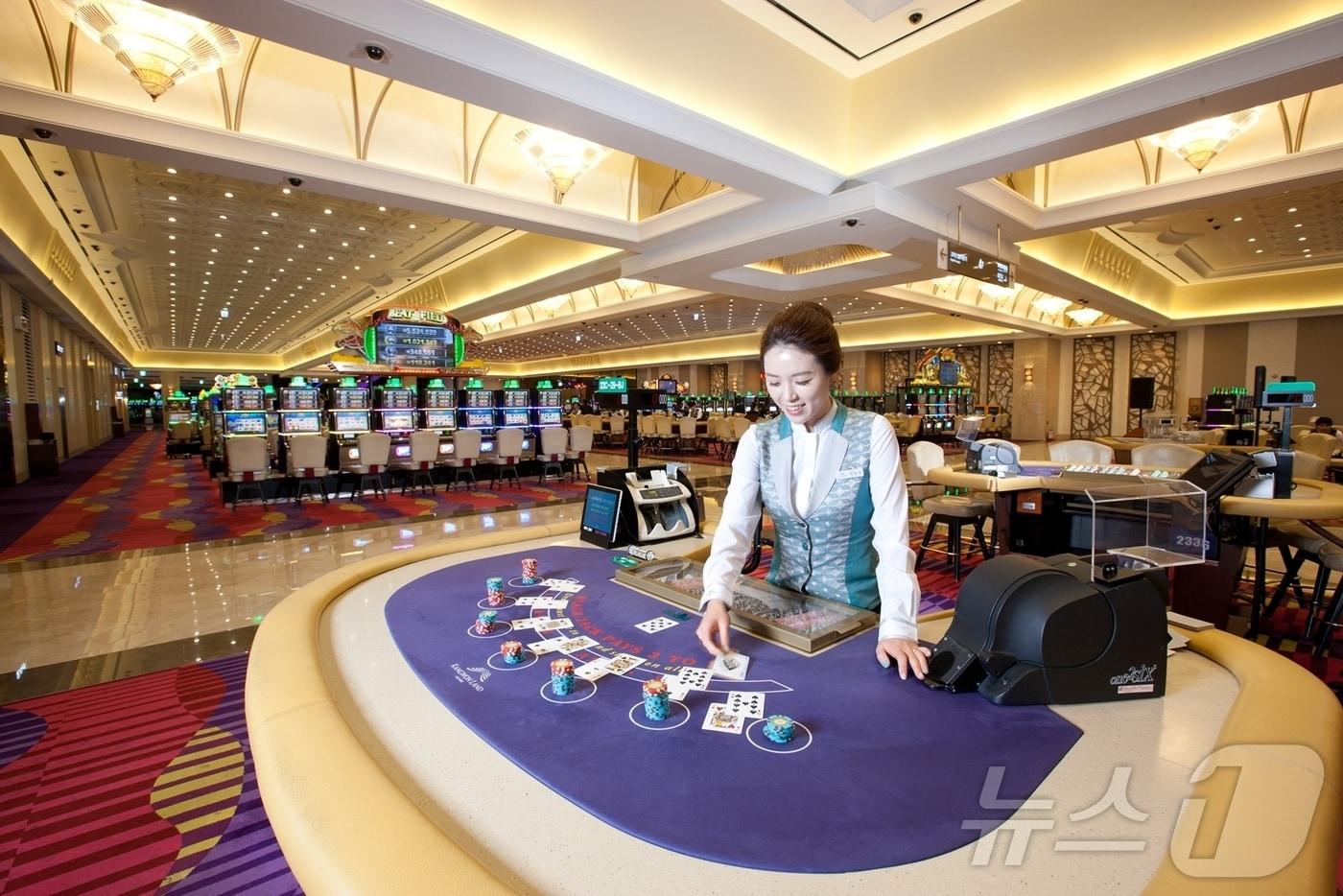 강원랜드 카지노 자료사진. (뉴스1 DB)